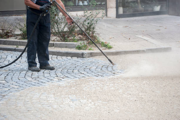 Best Boat and Dock Cleaning  in Runnemede, NJ